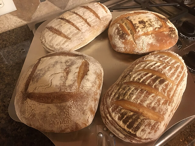 sourdough bread loaves of different shapes